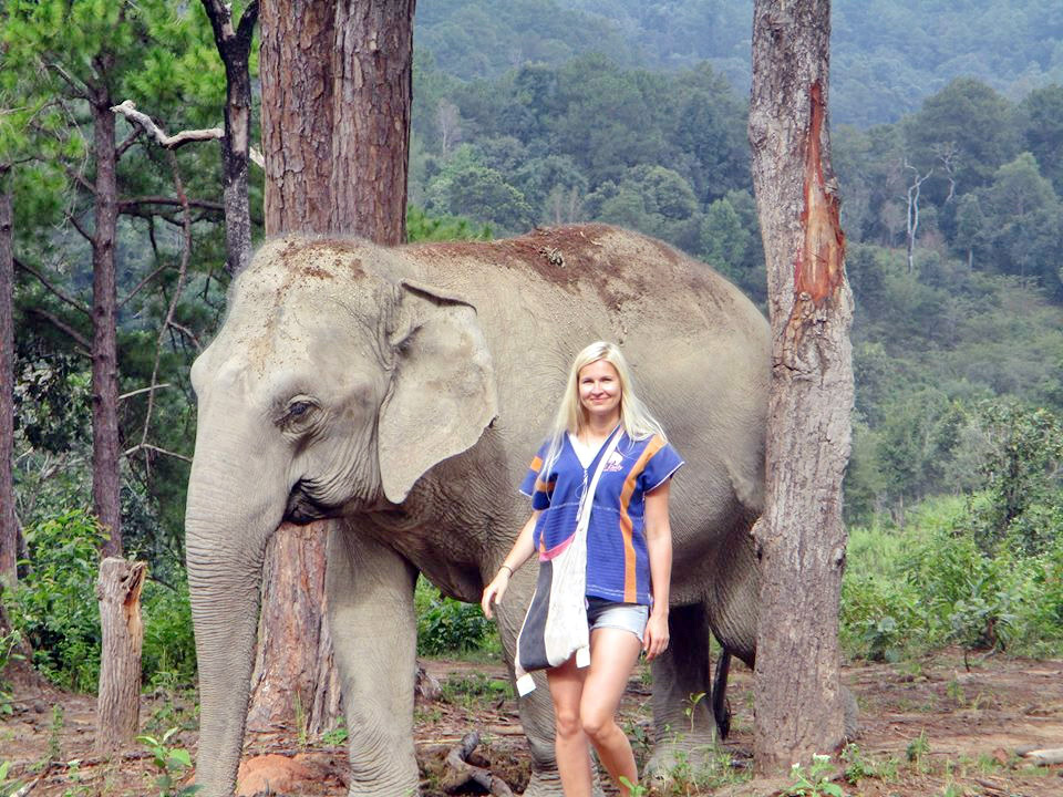 About Blue Daily Elephant Care