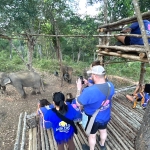 Half Day Afternoon Blue Daily Elephant Care, Hands-off and Ethical