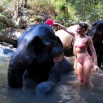 Full Day 3 Experiences Chiang Mai Elephant, Bamboo Rafting, Waterfall