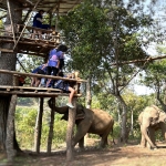3 Experiences: Hands Off Ethical Elephant Sanctuary, Rafting, Waterfall 