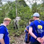 Visit our elephant sanctuary tour office in Chiag Mai City, Thailand
