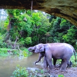 Private Full Day Rafting, Elephant Care, Waterfall, Lunch in Treehouse