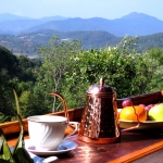 Private Full Day Rafting, Elephant Care, Waterfall, Lunch in Treehouse 