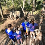 Full Day Blue Daily Elephant Care, Waterfall Walk With Elephants