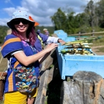 Full Day Blue Daily Elephant Care, Waterfall Walk With Elephants