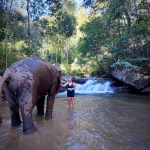 Full Day Rafting, Waterfalls, Treehouse, Foster Rescued Elephants