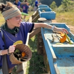 3 Experiences: Hands Off Ethical Elephant Sanctuary, Rafting, Waterfall 