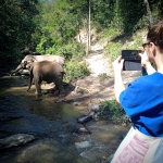 Full Day Blue Daily Elephant Care Sanctuary, Waterfall Hiking and Doi Inthanon View