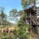 Full Day Blue Daily Elephant Care, Waterfall Walk With Elephants
